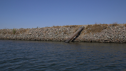the-tulare-basin