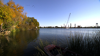 the-tulare-basin