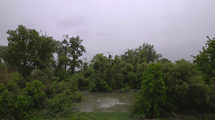 the-tulare-basin