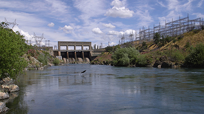 the-tulare-basin