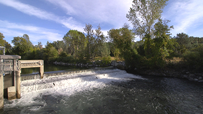 the-tulare-basin