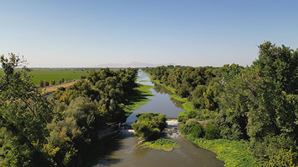 the-tulare-basin