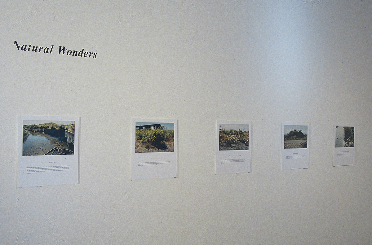 natural-wonders