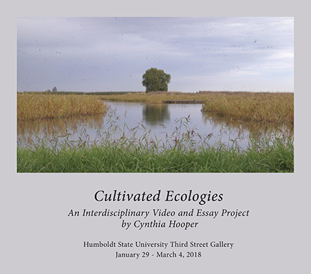 cultivated-ecologies-exhibition