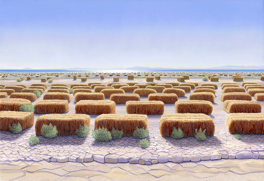 lithium-valley-wetlands