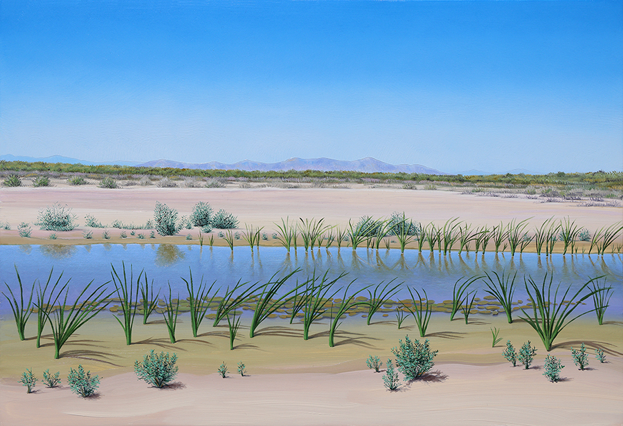 lithium-valley-wetlands
