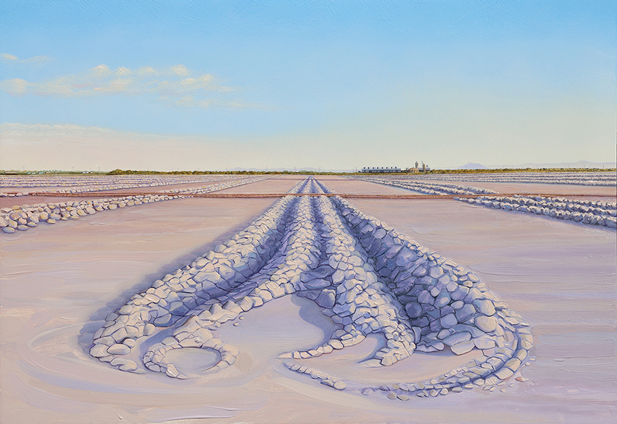 lithium-valley-wetlands